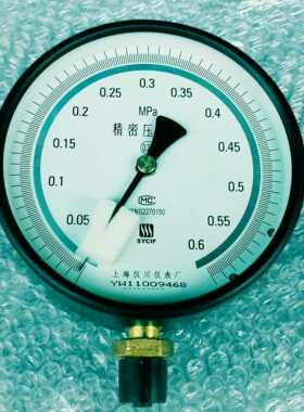 精密压力表 0.25级 yb-150b 0.6mpa 径向 螺纹 m20x1.5 直径150MM