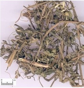 墨旱莲 旱莲草 黑墨草 白花草 中草药中药材 500克