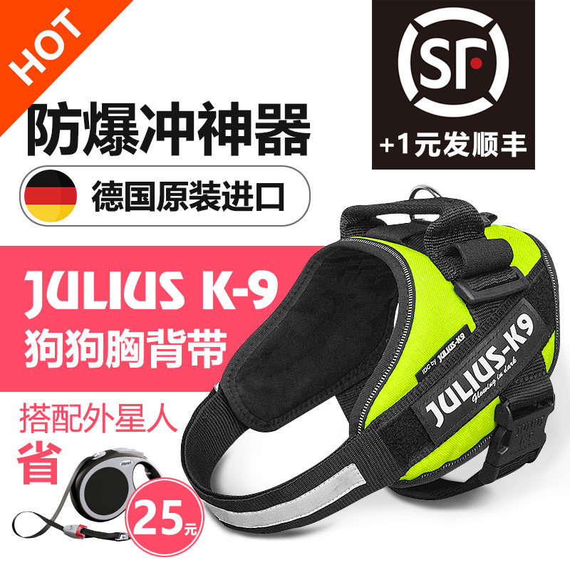 带着边牧去野吧——第一次带狗投店经验谈