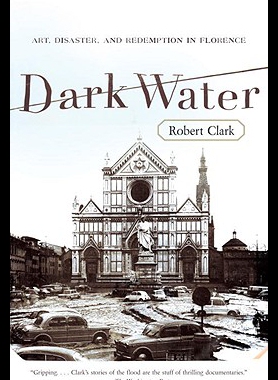 【预售】Dark Water: Art, Disaster, and Redemption in Flor