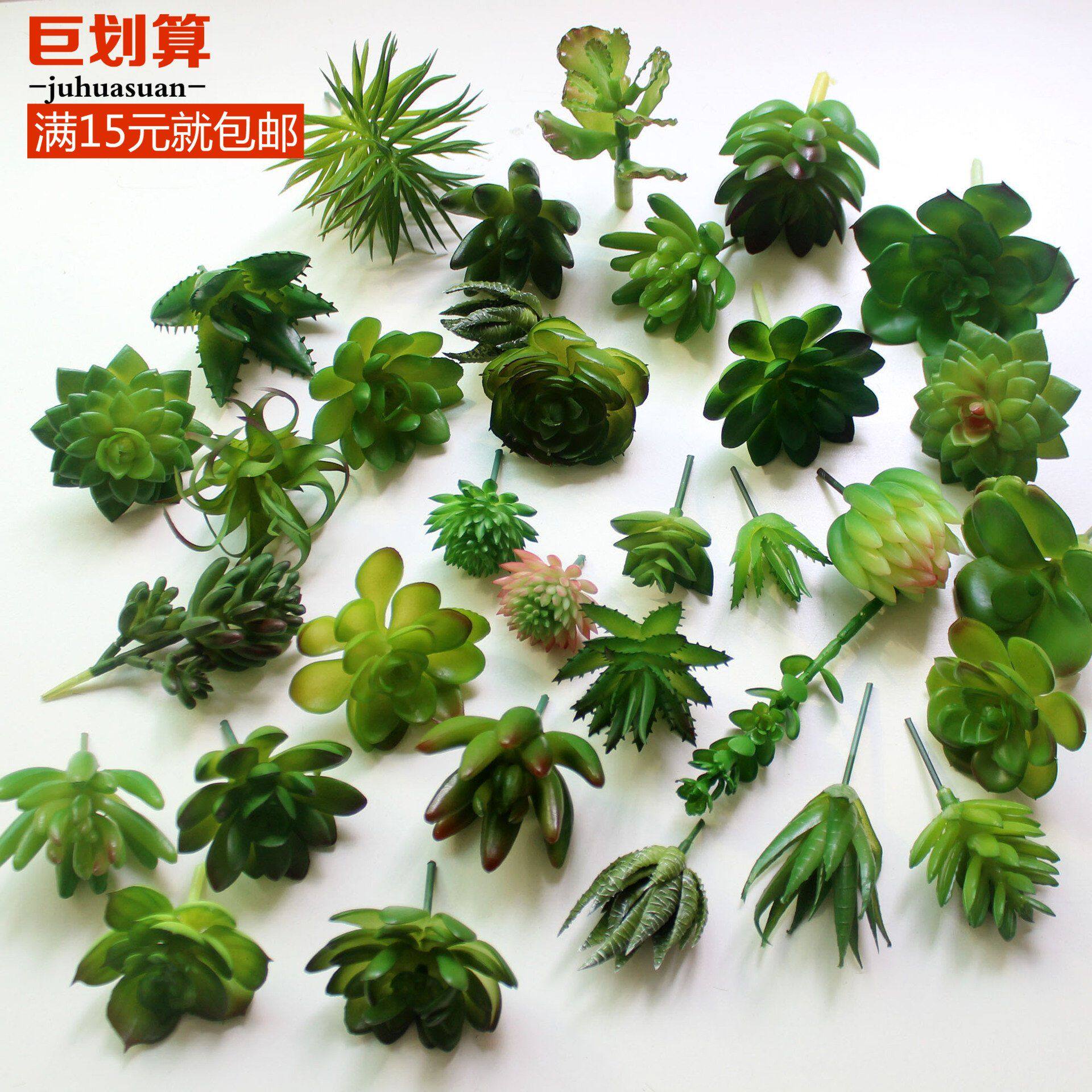 Best Sellers simulation Succulent plants Potted plant Fraud Green plant indoor a living room decorate flowers and plants Flowers Officein the Home accessories , Vase/Flower/Artificial flowers/Imitation jewelry , Bonsai plant simulation  category - from Buy2taobao.com to provide professional Taobao agent buy service
