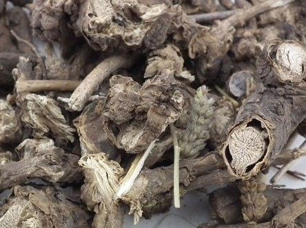 墓头回脚汗草追风箭500g散装煲汤材料新品,传统滋补营养品,传统滋补品其他,淘宝优惠券,粉丝福利购,淘宝优惠卷