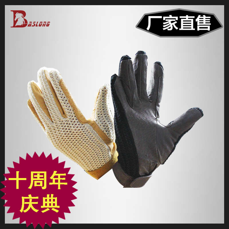 Article sports equestres BASLONG - Ref 1380040 Image 1