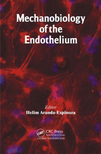 【预售】Mechanobiology of the Endothelium
