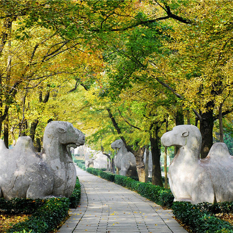 [钟山风景名胜区-明孝陵 灵谷寺 美龄宫 音乐台][钟山风景名胜四联票]