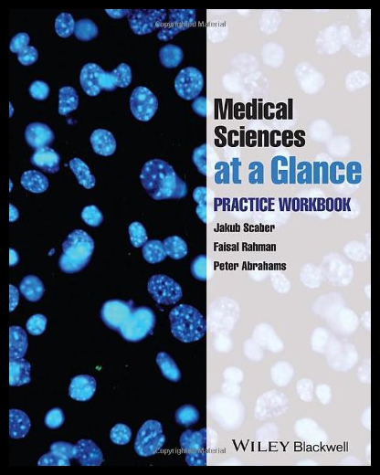 美国库房发货，通常付款后5-8周到货！