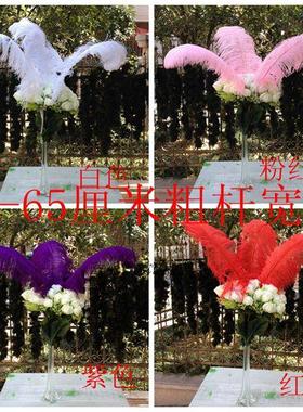 南非进口粗杆鸵鸟羽毛黑色白色彩色鸵鸟毛婚庆装饰用60-65厘米