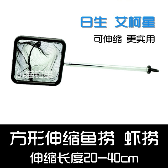 日生艾柯星 方形伸缩鱼捞/虾捞 大小型热带鱼捞网 鱼网 20～55CM
