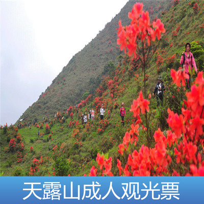 [天露山旅游度假区-大门票+登山车双程票]新兴天露山门票+登山车