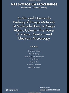 【预售】In-Situ and Operando Probing of Energy Materials
