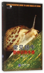 常见蜗牛野外识别手册/好奇心书系 博库网