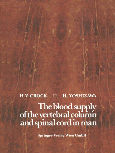 【预订】The Blood Supply of the Vertebral Co...