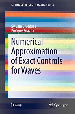 【预订】Numerical Approximation of Exact Con...