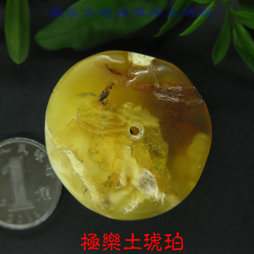 【极乐土琥珀】1074天然金绞蜜原矿饼子 平安扣 天然无优化蜜蜡