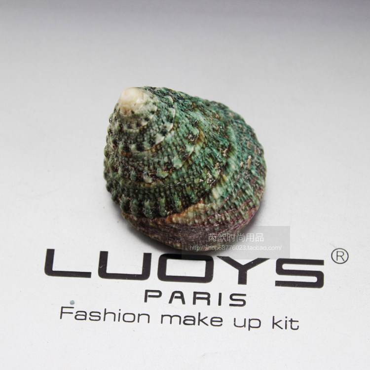 天然海螺贝壳绿塔螺图片