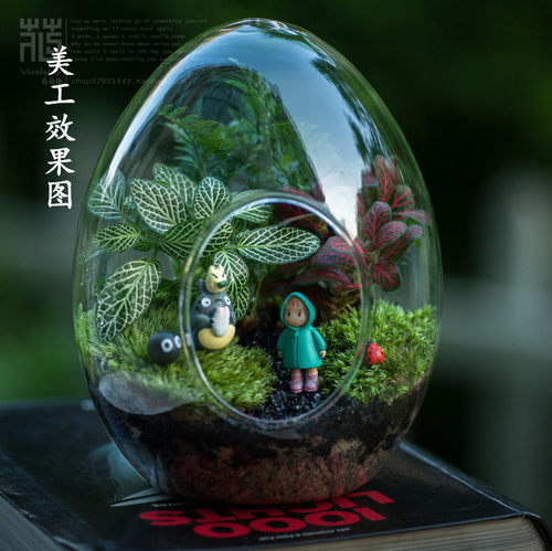 蛋形微景观生态透明玻璃花瓶diy