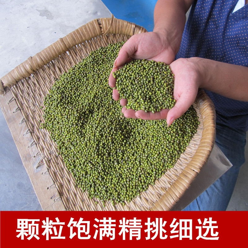 农家自产500g夏天绿豆