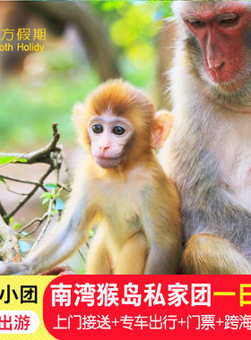 三亚陵水南湾猴岛＋呆呆岛一日游纯玩独立团/上门接送/不拼车