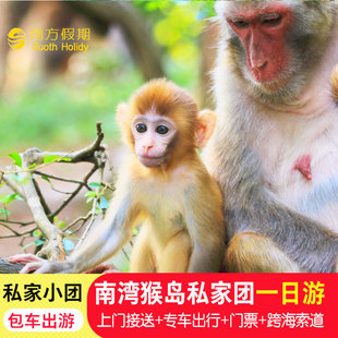 三亚陵水南湾猴岛＋呆呆岛一日游纯玩独立团/上门接送/不拼车