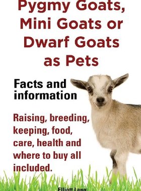 【预售】Pygmy Goats as Pets. Pygmy Goats, Mini Goats o...
