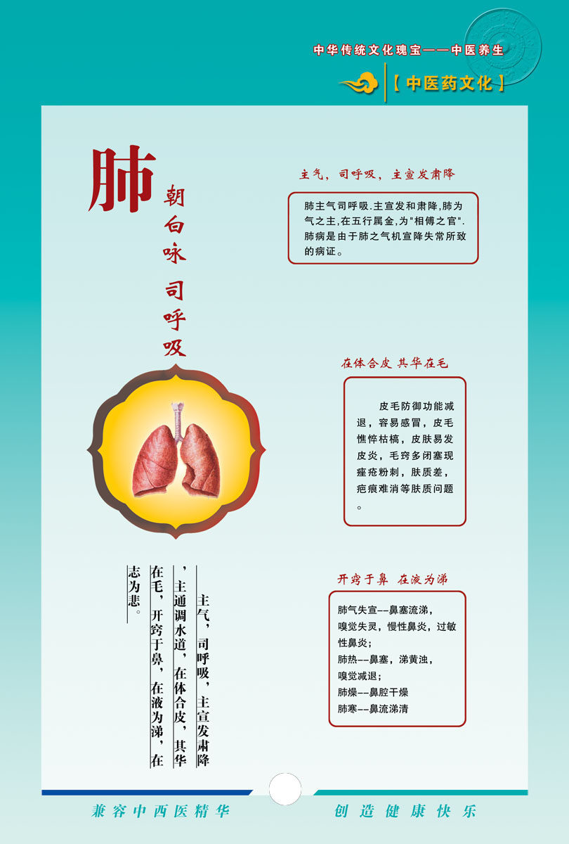 732海报印制展板写真喷绘贴纸6中医文化肺功能挂图