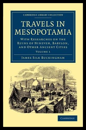 美国库房发货，通常付款后5-8周到货！