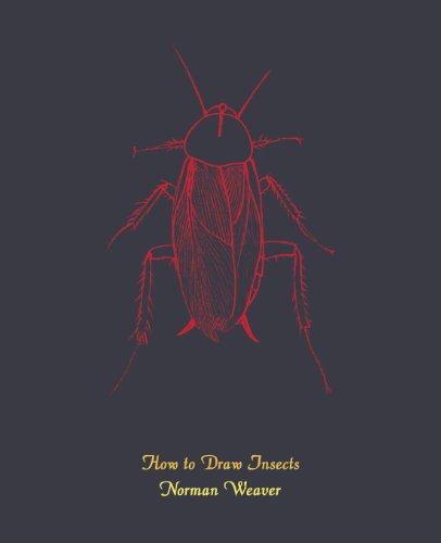 美国库房发货，通常付款后5-8周到货！