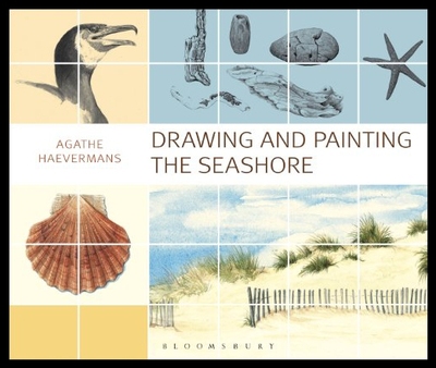 【预售】Drawing and Painting the Seashore