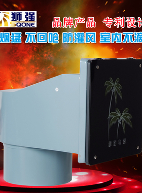 狮强厨房油烟排气扇强力家用10寸窗式换气扇静音排风机玻璃S504A