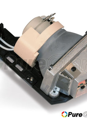 宝德丽 适用于 原装 OPTOMA 奥图码 投影机灯泡 HD21 (Q8NJ) EW615 HD20-LV HD2200 HD200X带灯架 BL-FP230J