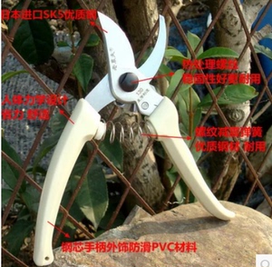 台湾制造130修枝剪刀 枝剪 家庭园艺剪 绿化剪