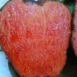 广西大山薯莨 薯良 朱砂莲 红药子鸡血莲血三七 牛血莲整个生品