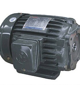 DL电机 DOLIN马达 DONGLING电机 AEEF90L-4 2HP  1.5KW AEVF80-4