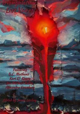 【预售】Triangulation: Lost Voices