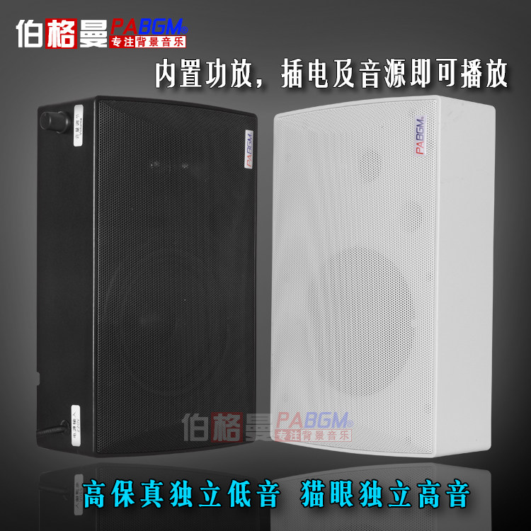 背景音乐PABGM壁挂音响