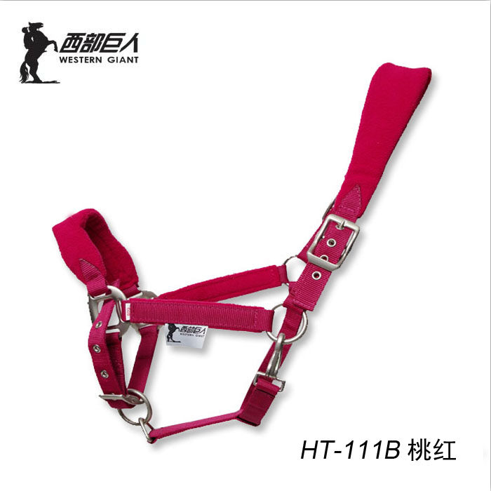【包邮】尼龙夹棉马笼头 马龙套 牵拉马绳 马术用品