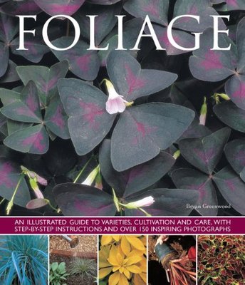 【预售】Foliage: An Illustrated Guide to Varieties, Cu...