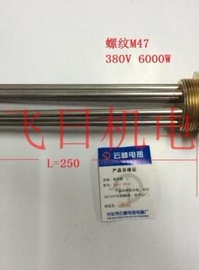 M4758六角头加热管 铜头不锈钢管 太阳能水箱加热管 380V 6000W