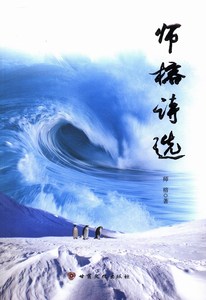 师榕诗选 畅想畅销书