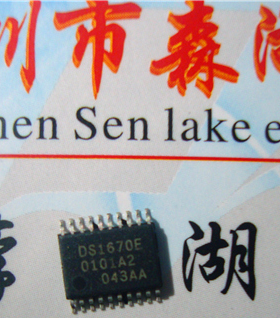DS1670E DS1670 TSSOP-20 DALLAS 原装正品供应