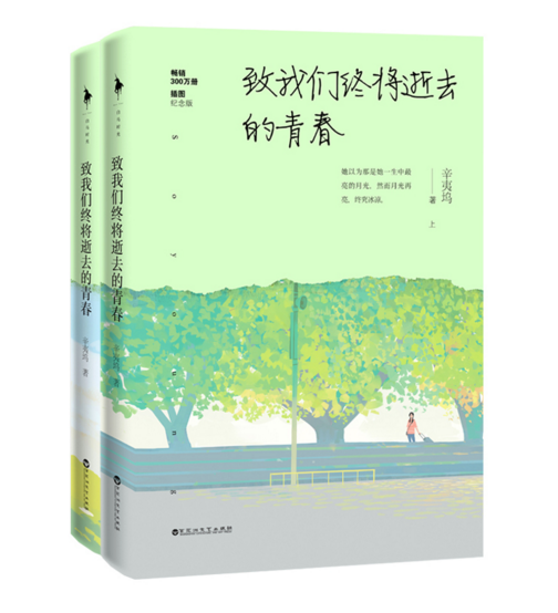 正版 现货 致我们终将逝去的青春套装共2册   插图纪念版 辛夷坞 著   125