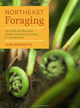 【预售】Northeast Foraging: 120 Wild and Flavorful Edi...