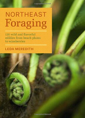 【预售】Northeast Foraging: 120 Wild and Flavorful Edi...