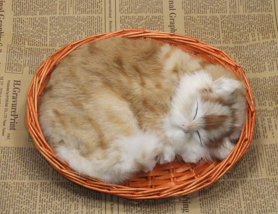 仿真皮毛动物猫咪睡猫摄影道具