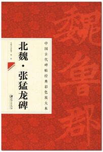 北魏张猛龙碑  中国古代碑帖经典彩色放大本 江西美术出版社毛笔书法字帖 艺术书法篆刻 北魏楷书 碑帖 正版 正品
