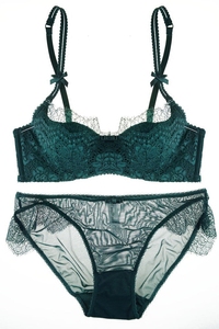 天天特价新款蕾丝深V薄款女士内衣性感诱惑超薄棉文胸套装