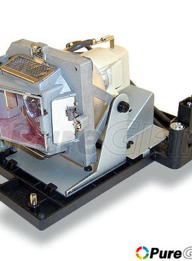 原装 VIVITEK 丽讯 投影机灯泡 D832MX 带灯架 5811100876-S