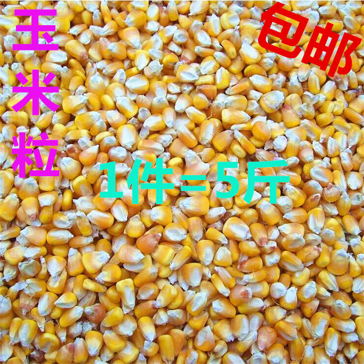 包邮5斤仓鼠兔兔龙猫 鸽子 大型鹦鹉零食饲料 鸽粮玉米粒五谷杂粮