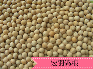 白豌豆鸽子食生豌豆 鸽粮豌豆 白玉豌豆1斤 (只发江浙沪皖）