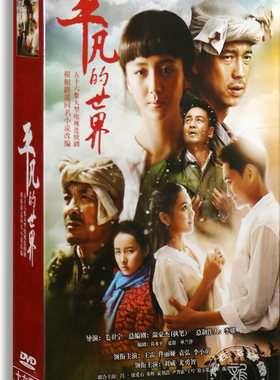 正版电视剧 平凡的世界 16DVD 精装版 56集 佟亚丽 王雷